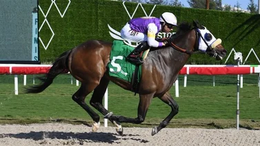 Junior Alvarado llega a esta increíble cantidad de victorias en Estados Unidos 