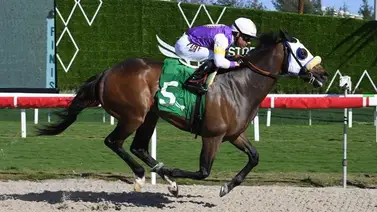 Junior Alvarado llega a esta increíble cantidad de victorias en Estados Unidos Junior Alvarado llega a esta increíble cantidad de victorias en Estados Unidos