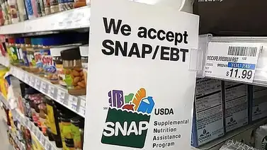 Gobierno Federal anuncia fecha de pago de los cupones de SNAP: ¿Cuál es el monto para los beneficiarios? Gobierno Federal anuncia fecha de pago de los cupones de SNAP: ¿Cuál es el monto para los beneficiarios?
