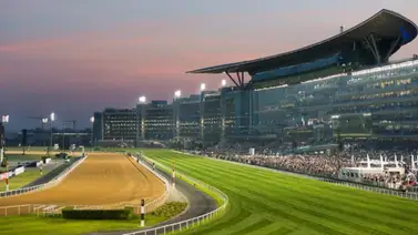 Conoce los numeritos de las nominaciones para la jornada de la Dubai World Cup Conoce los numeritos de las nominaciones para la jornada de la Dubai World Cup