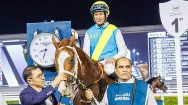 “De mendigo a millonario” conoce la increíble historia de este caballo  “De mendigo a millonario” conoce la increíble historia de este caballo