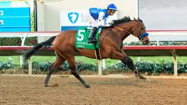 ¡Volaron! Estos son los seis potros en la ruta al Derby que destacaron en sus traqueos del pasado domingo ¡Volaron! Estos son los seis potros en la ruta al Derby que destacaron en sus traqueos del pasado domingo
