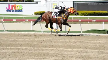 Gaceta Hípica estuvo imparable en La Rinconada Gaceta Hípica estuvo imparable en La Rinconada