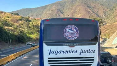 LVBP: ¡A celebrar con todo! Así reciben en La Guaira a los Tiburones tras su campeonato (+Video)