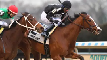 Bergen y Hot Fudge ganan los stakes sabatinos de Aqueduct 