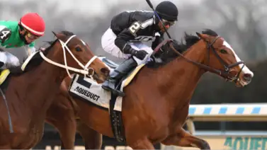 Bergen y Hot Fudge ganan los stakes sabatinos de Aqueduct  Bergen y Hot Fudge ganan los stakes sabatinos de Aqueduct