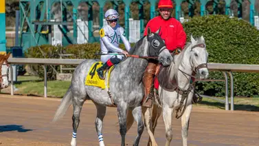 Así fue el debut del hermano completo de Flightline Así fue el debut del hermano completo de Flightline