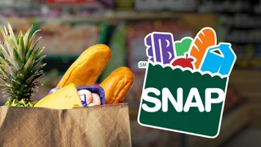 De interés: ¿Cuáles son los requisitos para optar por los cupones de alimentos en Texas?