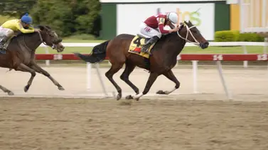 Juan Carlos García Mosquera inscribe a yegua que tiene 343 días sin correr en La Rinconada Juan Carlos García Mosquera inscribe a yegua que tiene 343 días sin correr en La Rinconada