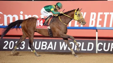 Mira cuantos ejemplares nomina Japón a la Dubai World Cup