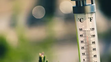 La OMM confirma nuevo récord de temperatura en Europa (+Video)
