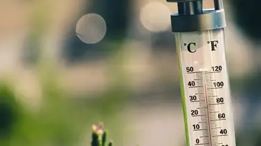 La OMM confirma nuevo récord de temperatura en Europa (+Video) La OMM confirma nuevo récord de temperatura en Europa (+Video)