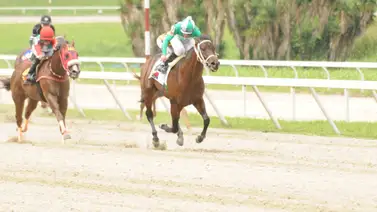 Germán Rojas retorna a la pista a este ejemplar que tiene 301 días sin correr en La Rinconada Germán Rojas retorna a la pista a este ejemplar que tiene 301 días sin correr en La Rinconada