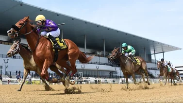 Estos son los próximos stakes que se correrán en Aqueduct 