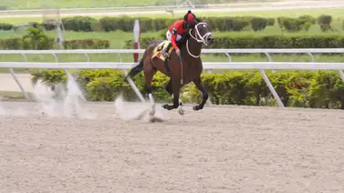 Nieto de Water Poet regresa a la pista de La Rinconada luego de 140 días sin acción y con implemento nuevo Nieto de Water Poet regresa a la pista de La Rinconada luego de 140 días sin acción y con implemento nuevo