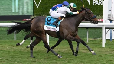 Entrenador ganador con yegua suramericana el día del Pegasus World Cup está en el ojo del huracán por esta razón