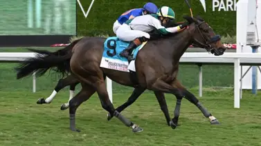 Entrenador ganador con yegua suramericana el día del Pegasus World Cup está en el ojo del huracán por esta razón Entrenador ganador con yegua suramericana el día del Pegasus World Cup está en el ojo del huracán por esta razón