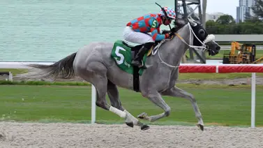 Entrenador venezolano gana con sus dos primeros presentados del año en Estados Unidos Entrenador venezolano gana con sus dos primeros presentados del año en Estados Unidos