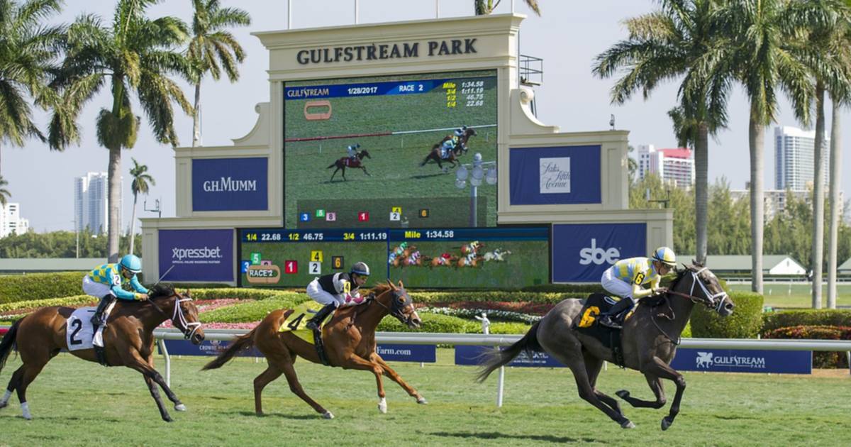 Aquí el Best Bet y los Datos para el Pick Six Gulfstream Park 31012024
