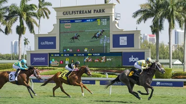 Aquí el Best Bet y los Datos para el Pick Six Gulfstream Park 31-01-2024