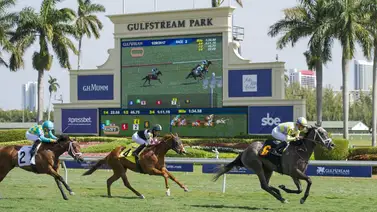Aquí el Best Bet y los Datos para el Pick Six Gulfstream Park 31-01-2024 Aquí el Best Bet y los Datos para el Pick Six Gulfstream Park 31-01-2024