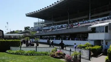 Entrenador de Purasangres se droga y viola a una dama, conoce aquí la sentencia que recibió Entrenador de Purasangres se droga y viola a una dama, conoce aquí la sentencia que recibió