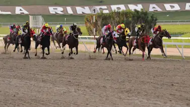 Conoce el primer retirado del 5y6 de la reunión 4 en La Rinconada Conoce el primer retirado del 5y6 de la reunión 4 en La Rinconada