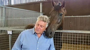 Entrenador de caballos de carrera pierde su matrícula por acoso y hostigamiento a un colega