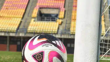 ¡Todo listo! Estas son las novedades que tendrá la temporada 2024 de la Liga FUTVE ¡Todo listo! Estas son las novedades que tendrá la temporada 2024 de la Liga FUTVE