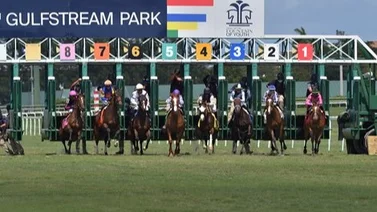 Aquí el Best Bet y los Tips para el Pick Six Gulfstream Park 01-02-2024