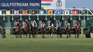 Aquí el Best Bet y los Tips para el Pick Six Gulfstream Park 01-02-2024 Aquí el Best Bet y los Tips para el Pick Six Gulfstream Park 01-02-2024