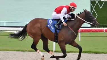 Lily Bird con Leonel Reyes Ramos ganan la primera carrera de 2025 en Gulfstream Park Lily Bird con Leonel Reyes Ramos ganan la primera carrera de 2025 en Gulfstream Park