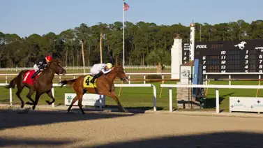 Criollos ganan siete de nueve carreras de este 1 de enero en Tampa Bay Criollos ganan siete de nueve carreras de este 1 de enero en Tampa Bay