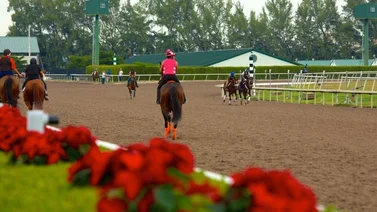 Entrenador ganador de estadística en La Rinconada tiene prohibición de entrar a este hipódromo en Estados Unidos