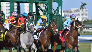 José Francisco D’Angelo consigue su primera victoria del año la tarde de ayer Miércoles en Gulfstream Park