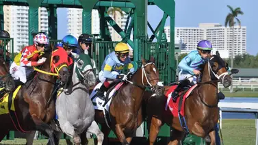 José Francisco D’Angelo consigue su primera victoria del año la tarde de ayer Miércoles en Gulfstream Park José Francisco D’Angelo consigue su primera victoria del año la tarde de ayer Miércoles en Gulfstream Park