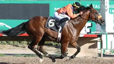 Karlo López se estrenó en Año Nuevo y se acerca a las 900 victorias Karlo López se estrenó en Año Nuevo y se acerca a las 900 victorias