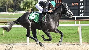 Samuel Marín consigue su primer triplete del año en este hipódromo de Estados Unidos 