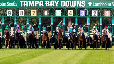 Jockeys venezolanos generan el primer Pick 3 de Tampa Bay que paga $38.90