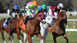 Daily Double con sabor criollo se produce la tarde de ayer en Tampa Bay Dows