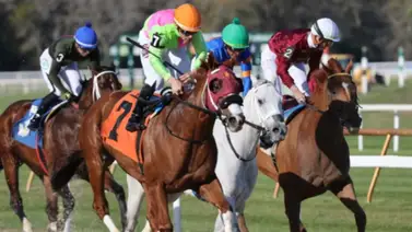 Daily Double con sabor criollo se produce la tarde de ayer en Tampa Bay Dows Daily Double con sabor criollo se produce la tarde de ayer en Tampa Bay Dows