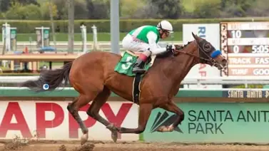 Pleasant reaparece este sábado en Las Flores Stakes Pleasant reaparece este sábado en Las Flores Stakes