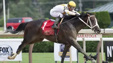 Estas son las primeras montas de Javier Castellano del 2025 Estas son las primeras montas de Javier Castellano del 2025