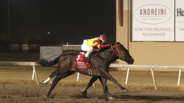 Oaklawn Park servirá de escenario para otra clasificatoria para el Derby