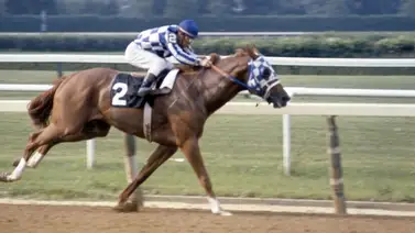 Este es el único hijo que queda vivo del campeón Secretariat Este es el único hijo que queda vivo del campeón Secretariat