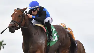 Junior Alvarado en final electrizante ganó la primera del Año Junior Alvarado en final electrizante ganó la primera del Año