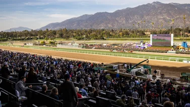 Medio hermano del ejemplar Flightline reaparece este sábado en el óvalo de Santa Anita 