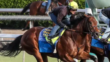 Potro que costó $3.200.000 va por su primer Graded Stakes en Santa Anita Potro que costó $3.200.000 va por su primer Graded Stakes en Santa Anita