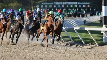 Trifecta criolla se impone en la tercera carrera de Tampa Bay Dows