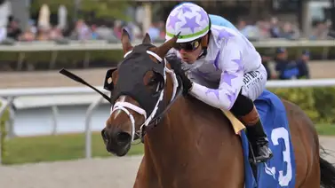 Estos fueron los 10 mejores jinetes puertorriqueños en Estados Unidos Estos fueron los 10 mejores jinetes puertorriqueños en Estados Unidos